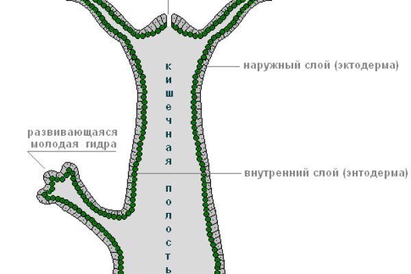 Кракен найдется все