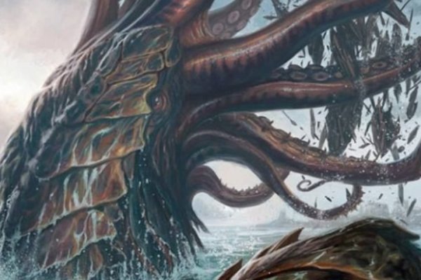 Kraken kraken link24 info