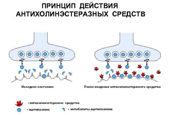 Кракен даркнет только через